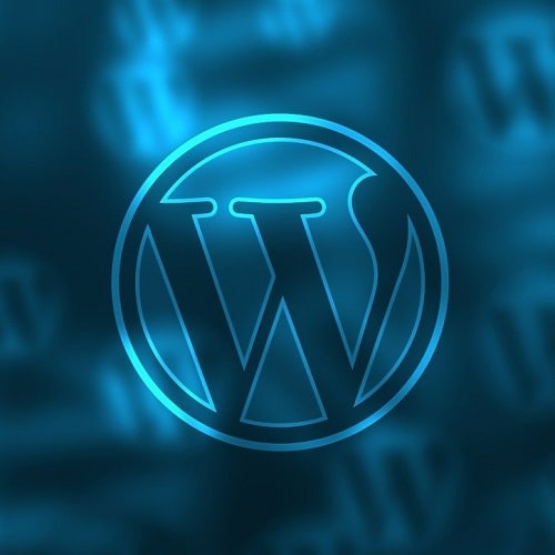 WordPress · Name-, Webseite- oder E-Mail-Feld ausblenden